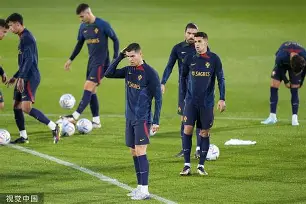 爱游戏登录入口-葡萄篱棚架示意图